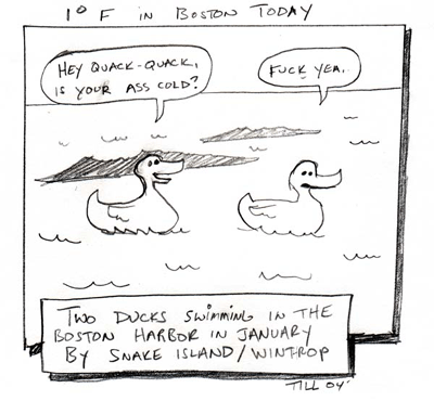 two ducks freezing asses off